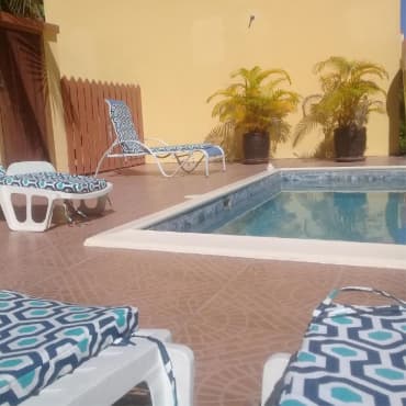 Turquoise pool with lounge seating and tropical plantings